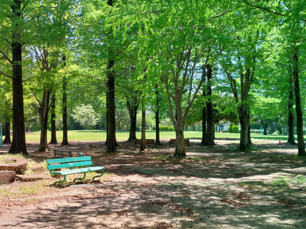 さいたま市・大崎公園の木漏れ日とベンチ