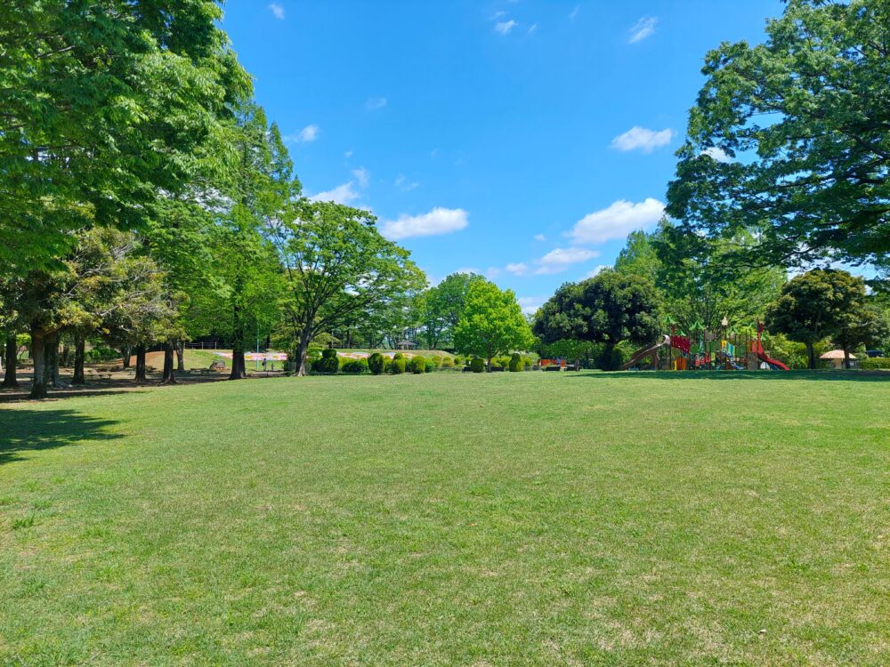 さいたま市・大崎公園の芝生広場