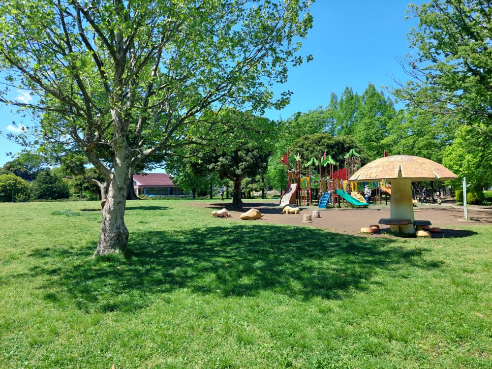 新緑の季節の大崎公園
