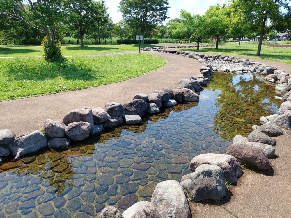 松伏みどりの丘公園のじゃぶじゃぶ池(流れ)
