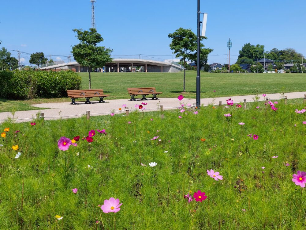 松伏みどりの丘公園の風景