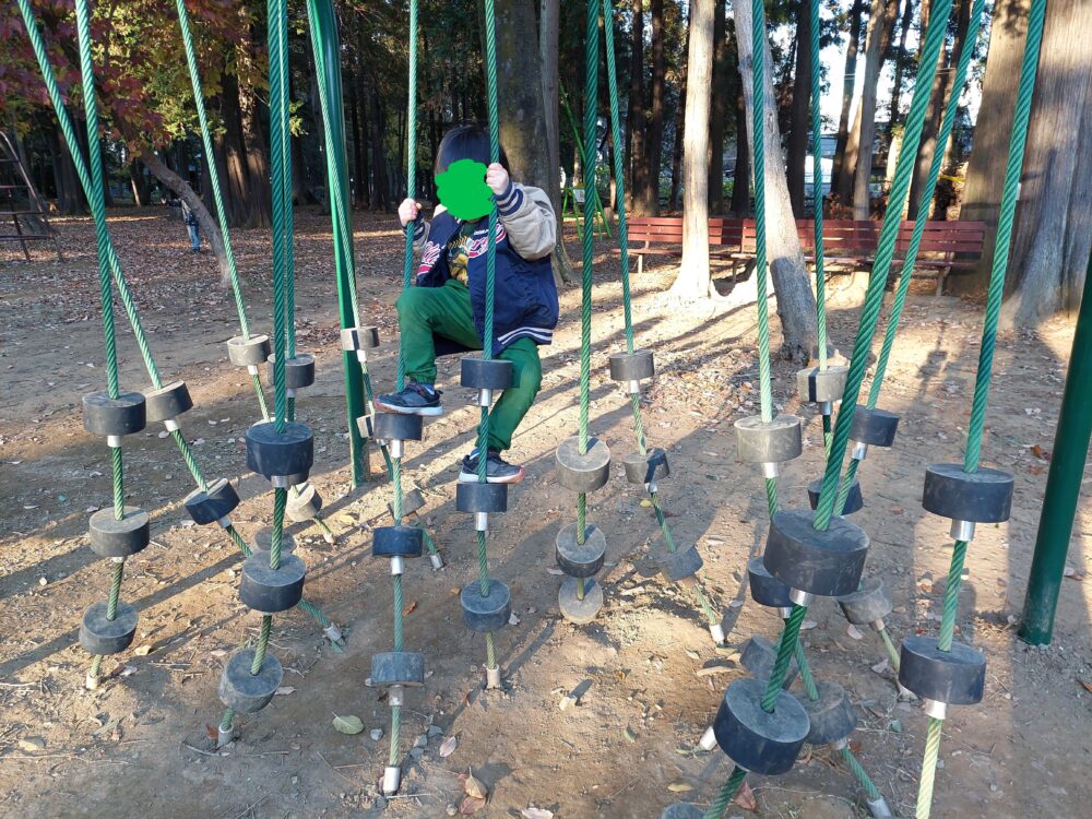 平塚公園のアスレチック遊具で遊ぶ子供