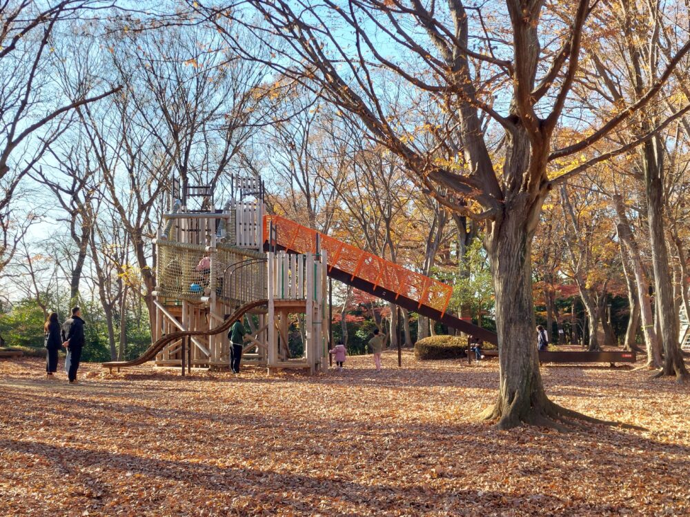 紅葉時期の内牧公園のアスレチック遊具で遊ぶ子供たち