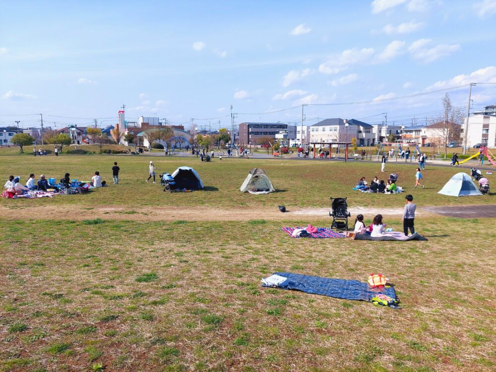 美南中央公園の芝生広場でピクニックをしてる人々