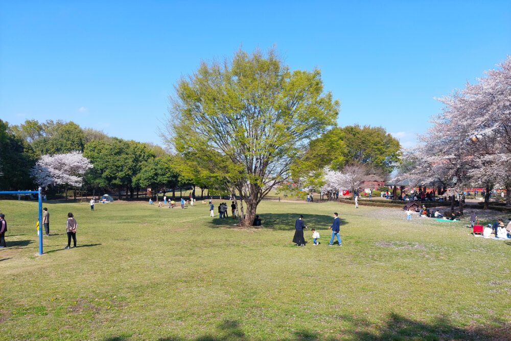 深谷グリーンパークの芝生広場