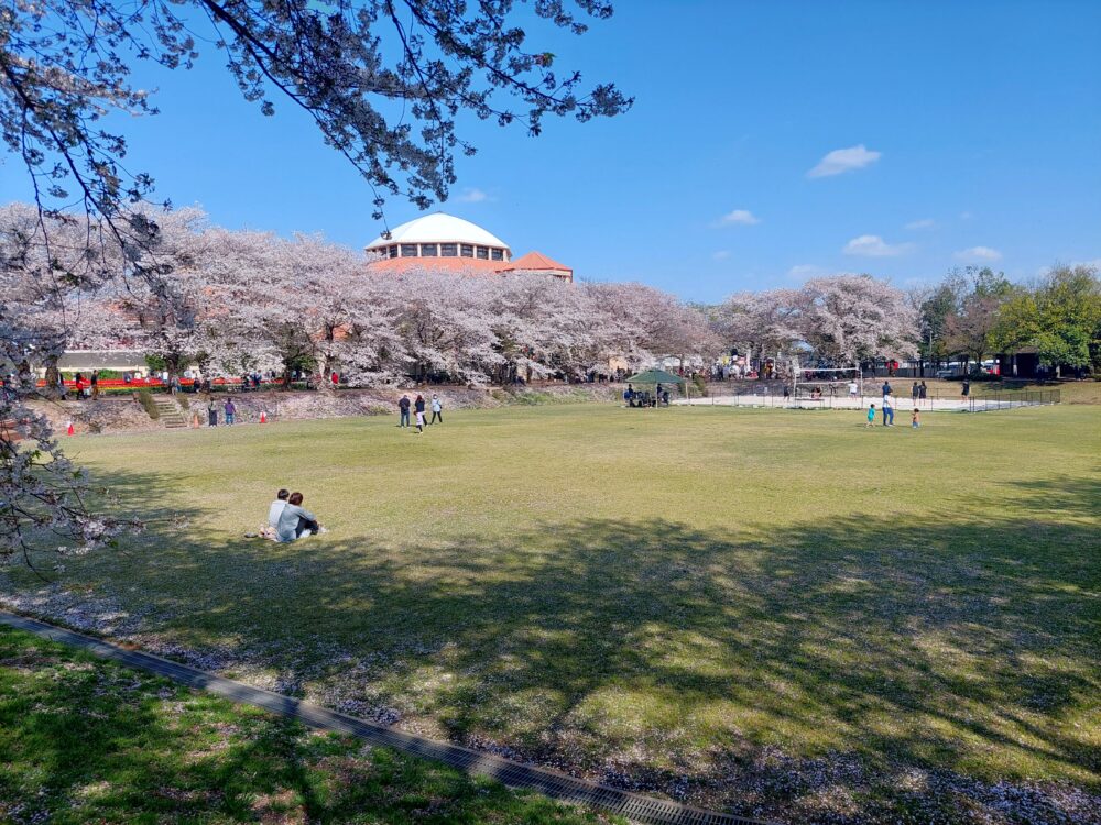 深谷グリーンパークの多目的広場
