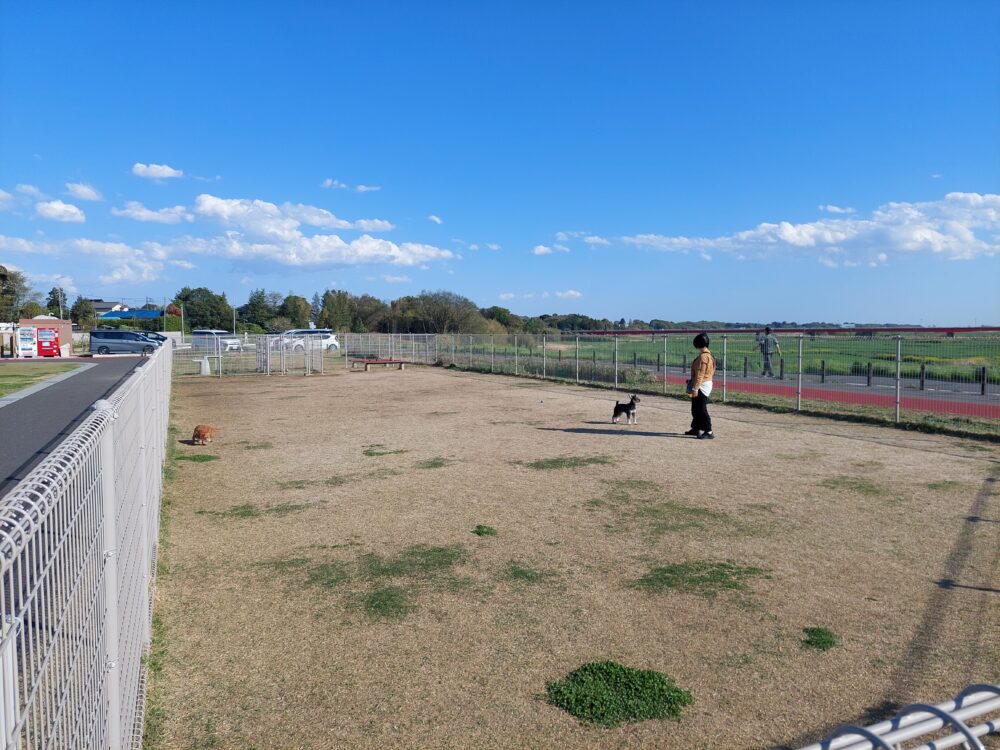 大間近隣公園のドッグラン