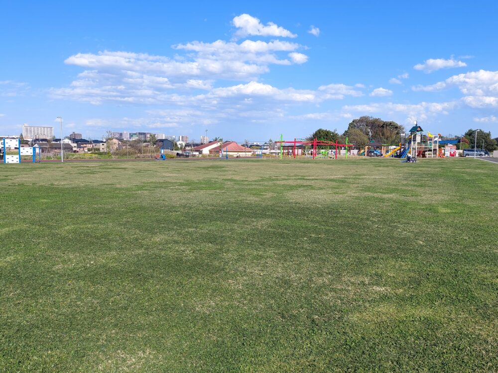大間近隣公園の芝生広場