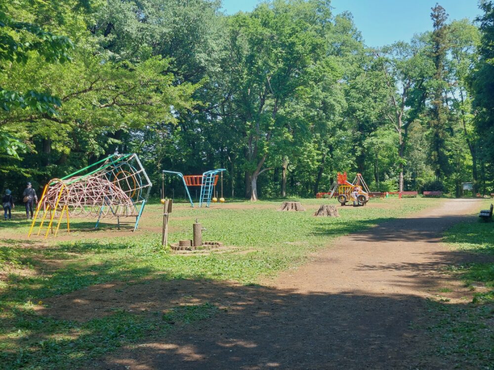 智光山公園のピクニック広場