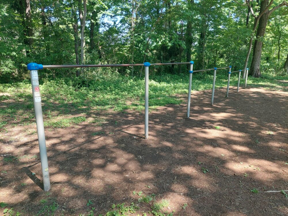 智光山公園のピクニック広場にある鉄棒