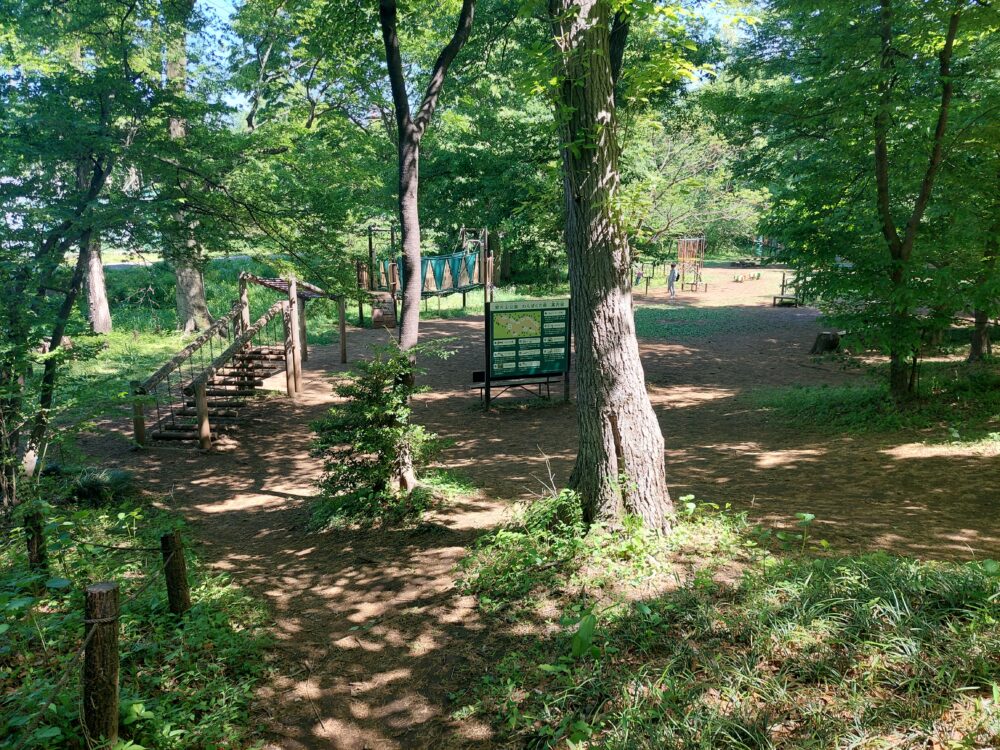 智光山公園のわんぱくの森