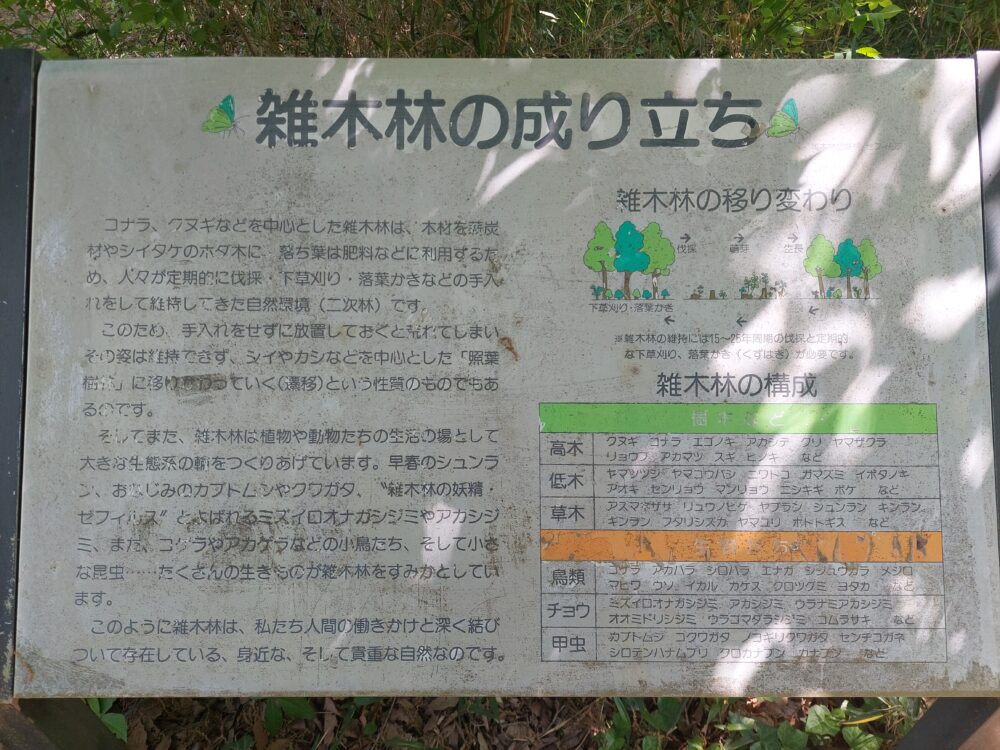 智光山公園・わんぱくの森の雑木林の成り立ちの看板