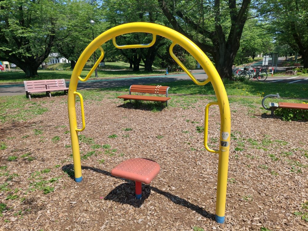 狭山稲荷山公園の健康遊具