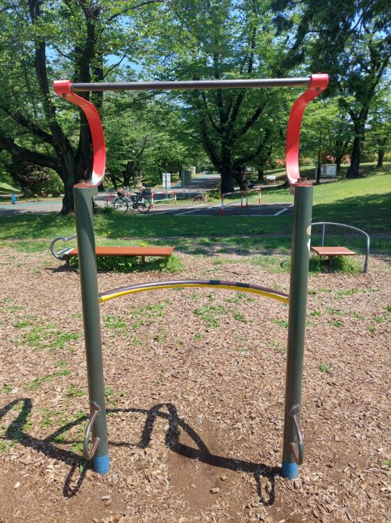 狭山稲荷山公園の健康遊具