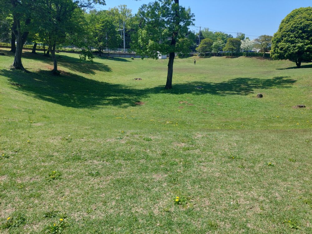 狭山稲荷山公園の芝生広場