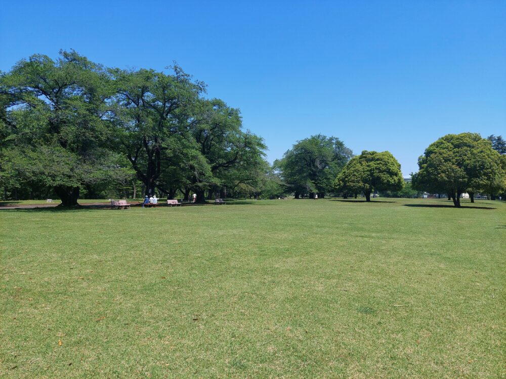 狭山稲荷山公園の芝生広場