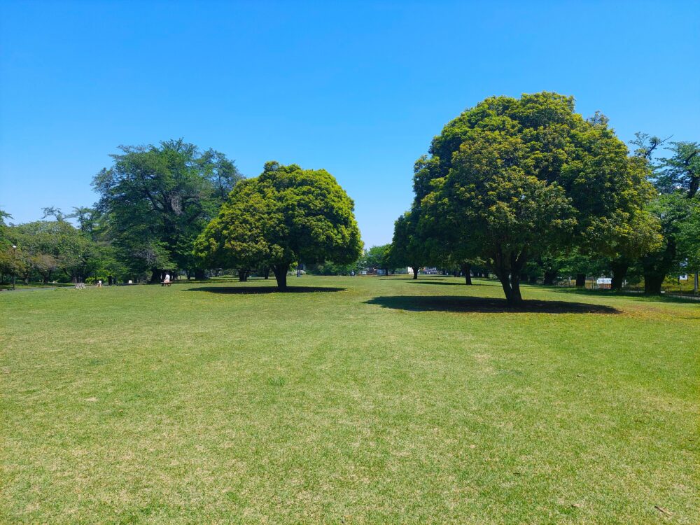 狭山稲荷山公園の芝生広場