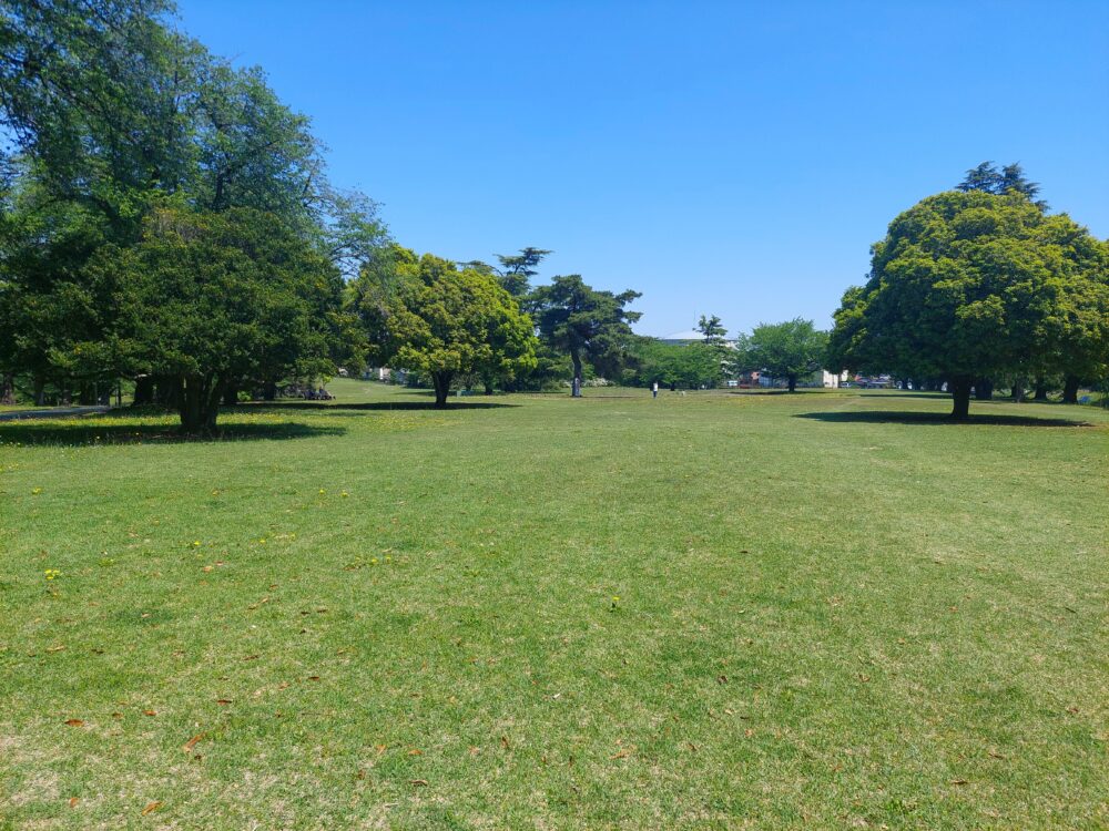 狭山稲荷山公園の芝生広場