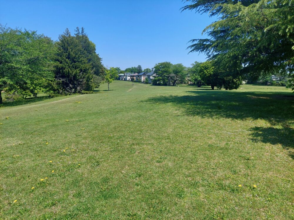 狭山稲荷山公園の芝生広場
