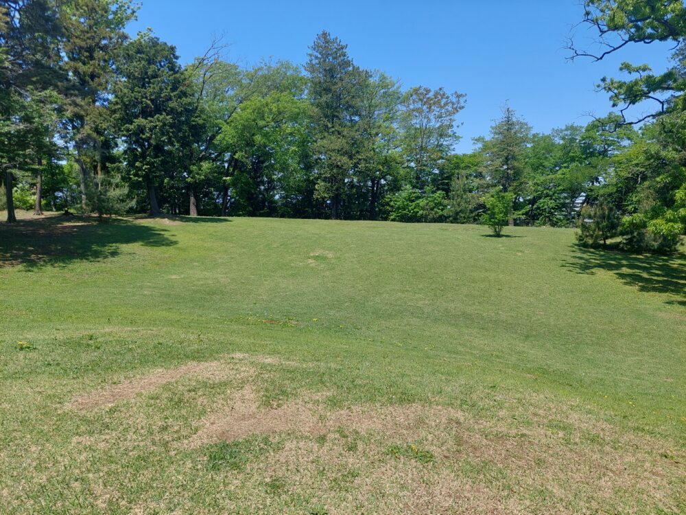 狭山稲荷山公園の芝生