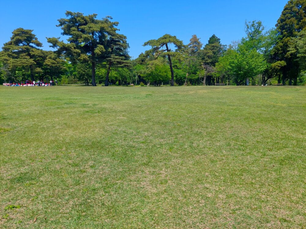 狭山稲荷山公園の芝生広場