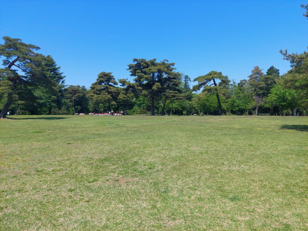 狭山稲荷山公園の芝生広場