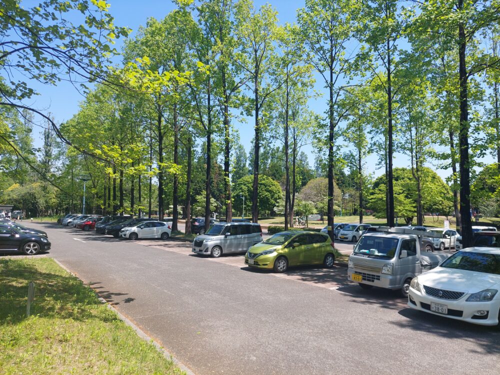 彩の森入間公園の駐車場