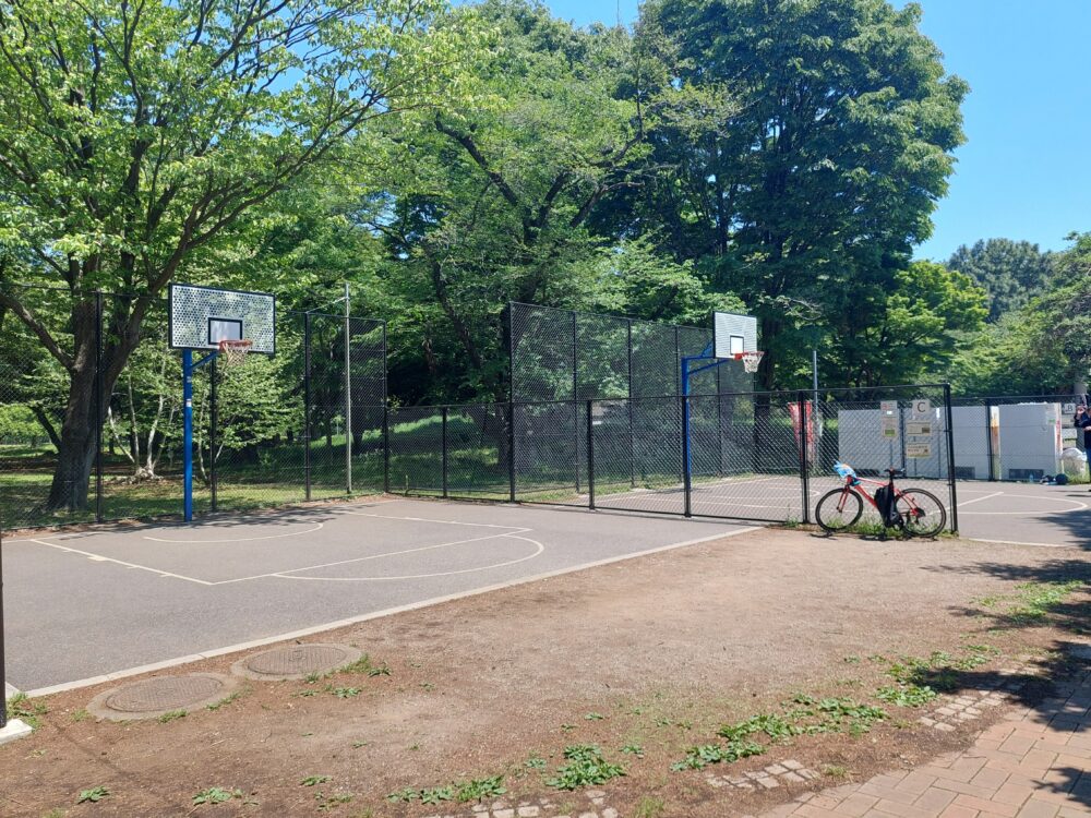 彩の森入間公園のバスケットゴール