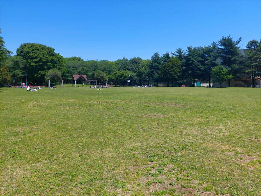 彩の森入間公園の多目的広場
