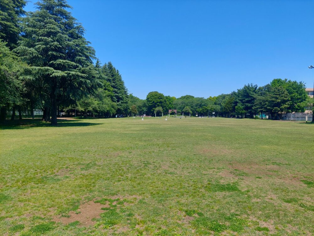 彩の森入間公園の多目的広場