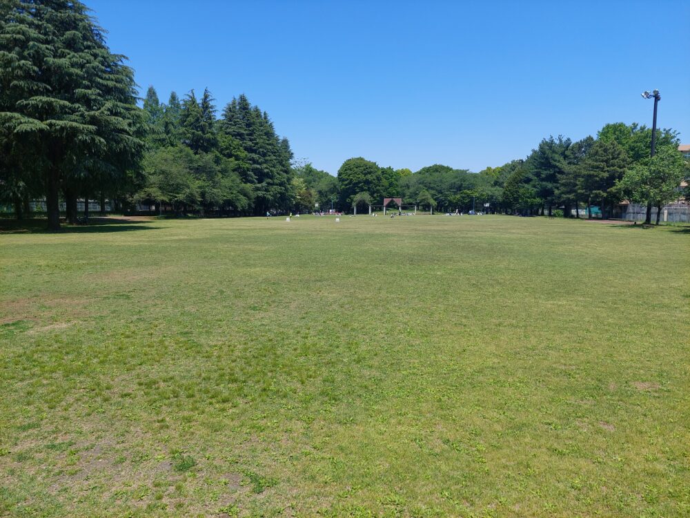 彩の森入間公園の多目的広場
