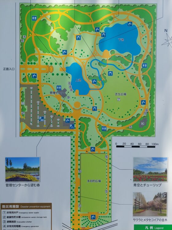 彩の森入間公園の園内マップ
