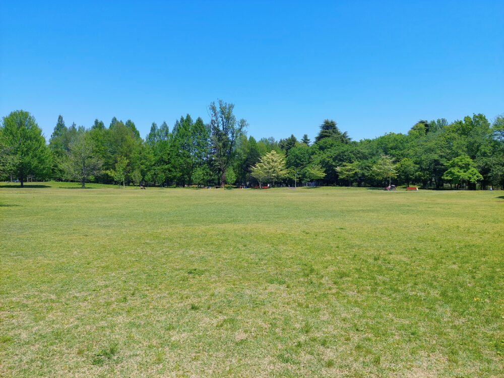 彩の森入間公園の芝生広場
