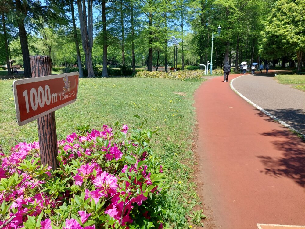 彩の森入間公園のジョギング・ウォーキングコース