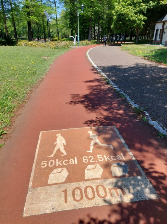 彩の森入間公園のジョギング・ウォーキングコース