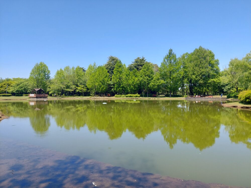 彩の森入間公園の下池