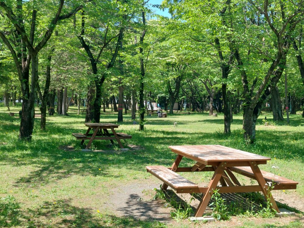彩の森入間公園のバーベキューガーデン付近のベンチ・テーブル