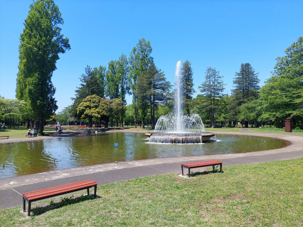 噴水が綺麗な彩の森入間公園の上池
