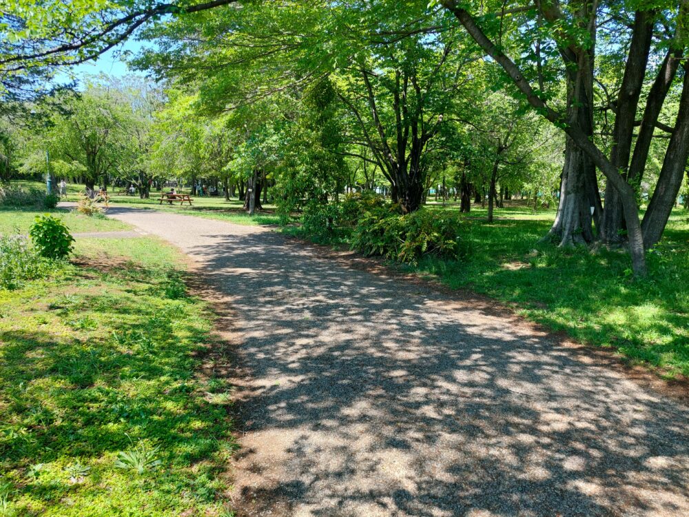 彩の森入間公園のバーベキューガーデン付近の緑綺麗な遊歩道