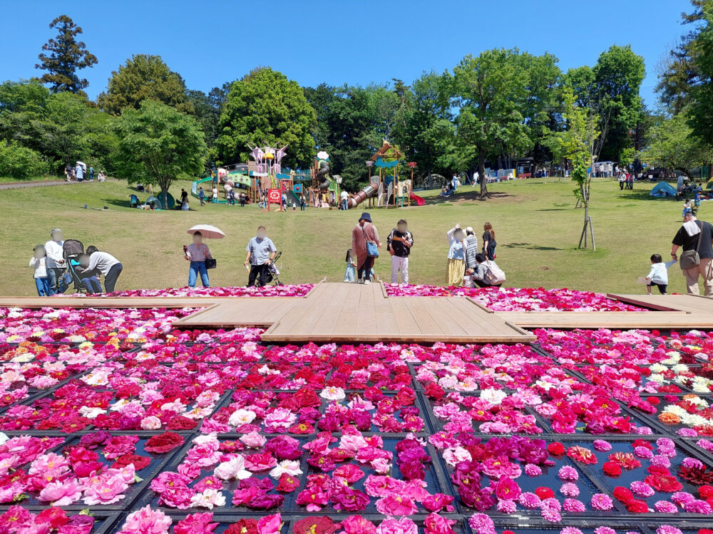 東松山ぼたん園の巨大花手水と大型複合遊具