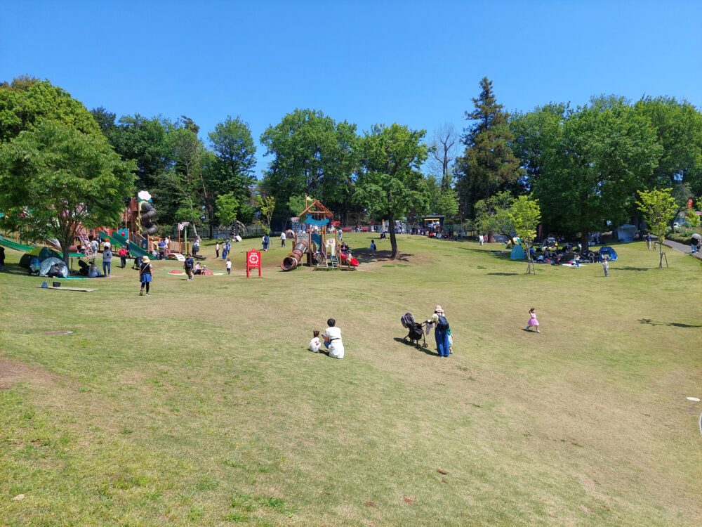 東松山ぼたん園の大型複合遊具と芝生広場