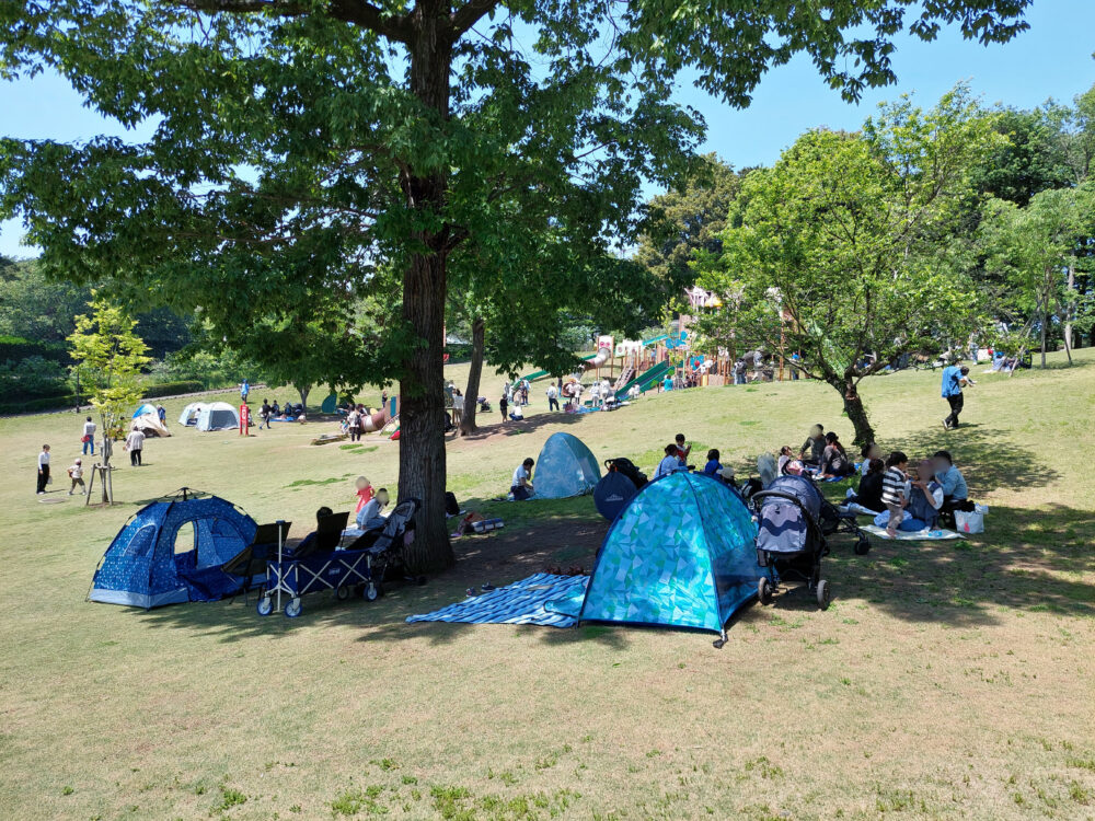 東松山ぼたん園の大型複合遊具と芝生広場でピクニックをしてる人たち