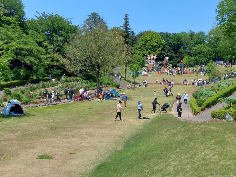 東松山ぼたん園の大型複合遊具と芝生広場でピクニックをしてる人たち