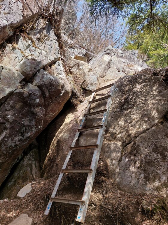乾徳山の鳳岩の迂回路のハシゴ