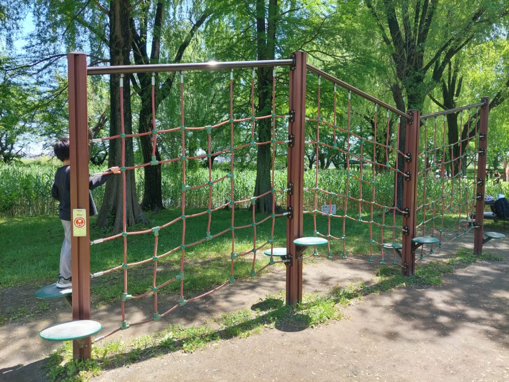 三橋総合公園・トリム広場のくもの巣渡り