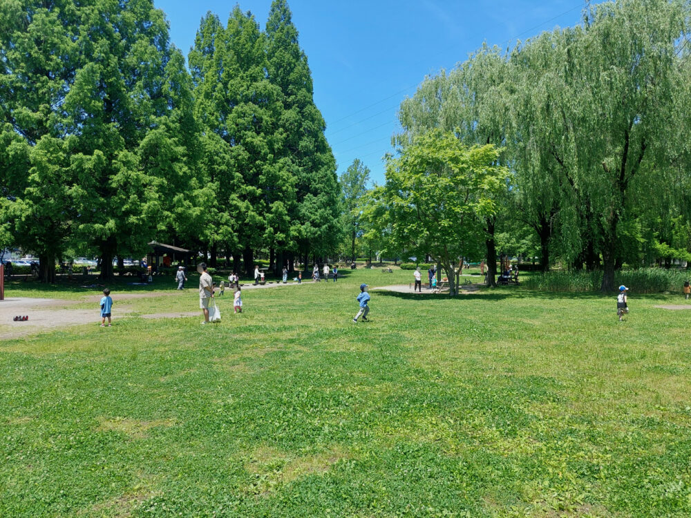 三橋総合公園・トリム広場の中央部の芝生で遊ぶ子供たち・親子