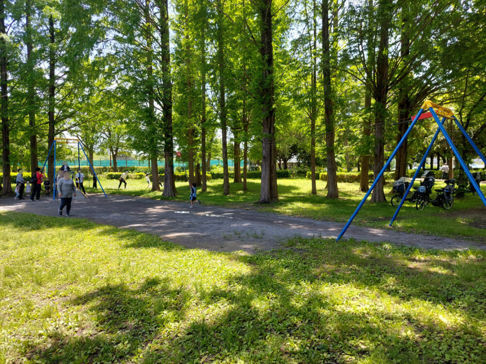 三橋総合公園・トリム広場のターザンロープ