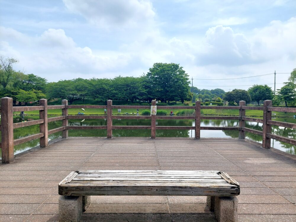 西城沼公園の釣り池(西城沼)周辺のベンチ