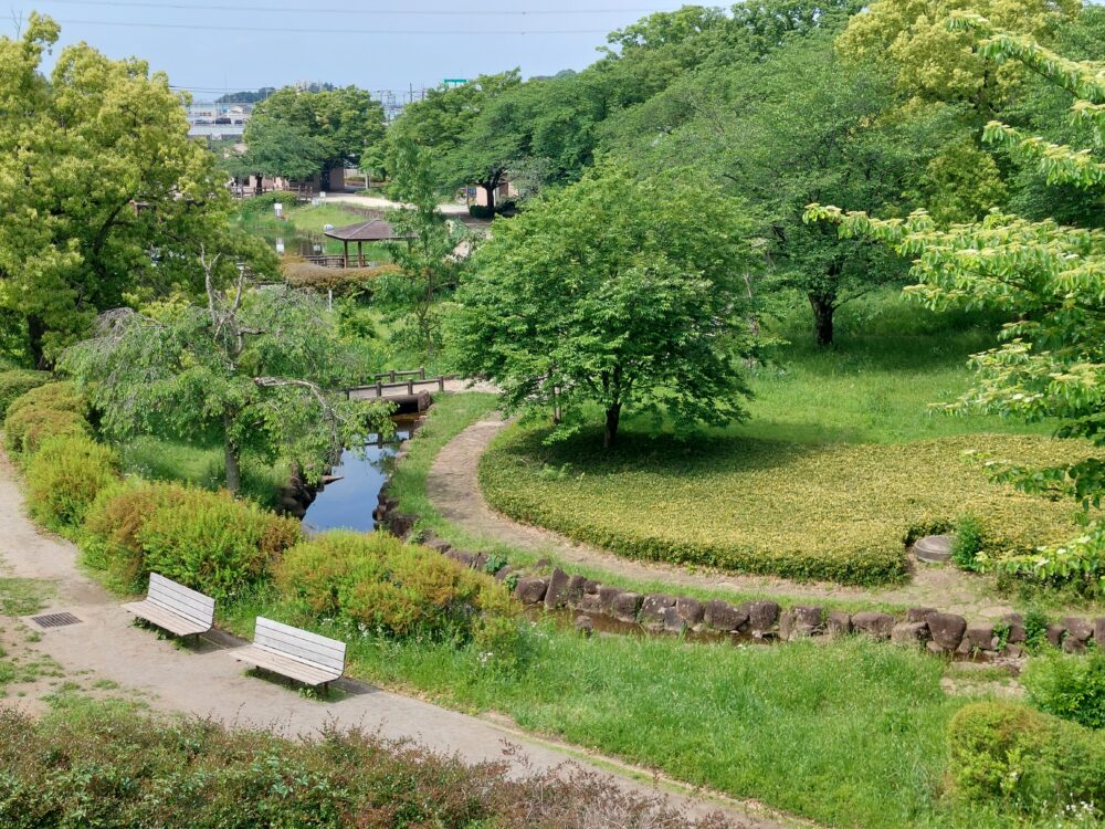 やぐらから見る西城沼公園の緑地