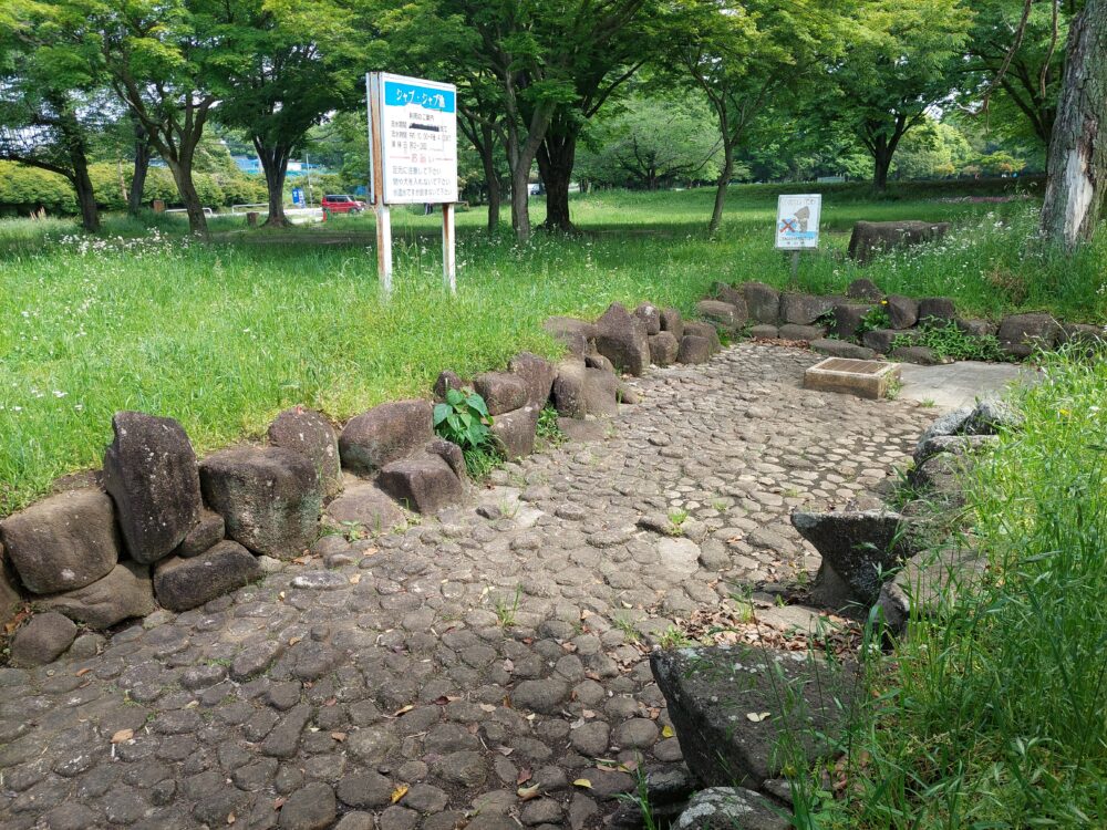 西城沼公園のじゃぶじゃぶ池